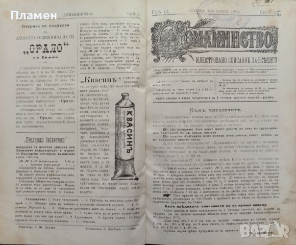 Домакинство. Илюстровано Списание За Всекиго. Год. 3: Брой 1-3, 6-12 /1904, снимка 3 - Антикварни и старинни предмети - 46632312