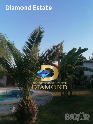 Едноетажна къща в село Сталево, общ. Димитровград, снимка 3 - Къщи - 52377925