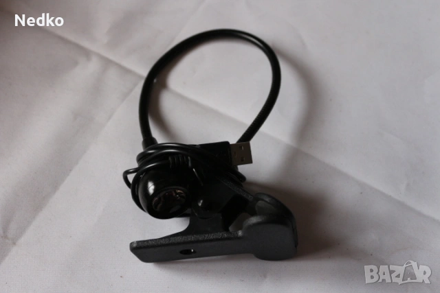 лапа виолетова  с USB