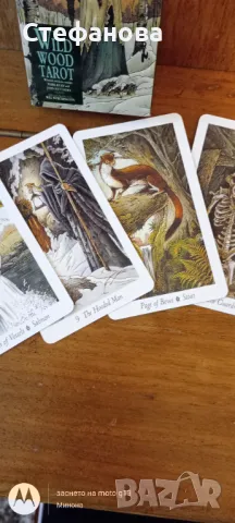   Чисто нова Wildwood tarot - колода Таро, снимка 3 - Карти за игра - 49334118