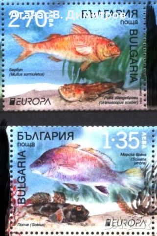 Чисти марки Европа СЕПТ Риби 2024 от България, снимка 1 - Филателия - 46095767