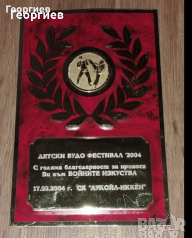 Спортни плакети,медали,от състезания., снимка 6 - Други ценни предмети - 51139405