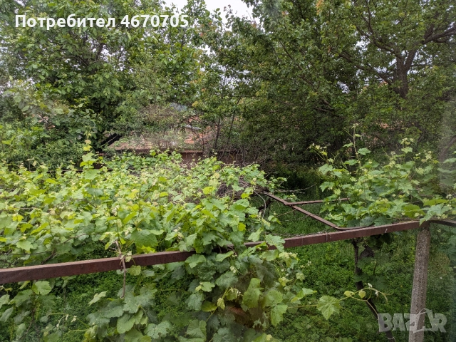 Дава под Наем КЪЩА 200 € / месец, снимка 8 - Къщи - 52676706