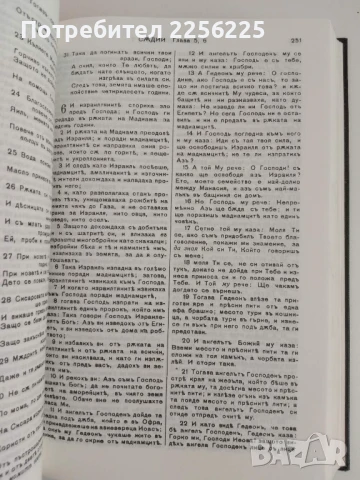 Библия, снимка 2 - Специализирана литература - 51100646