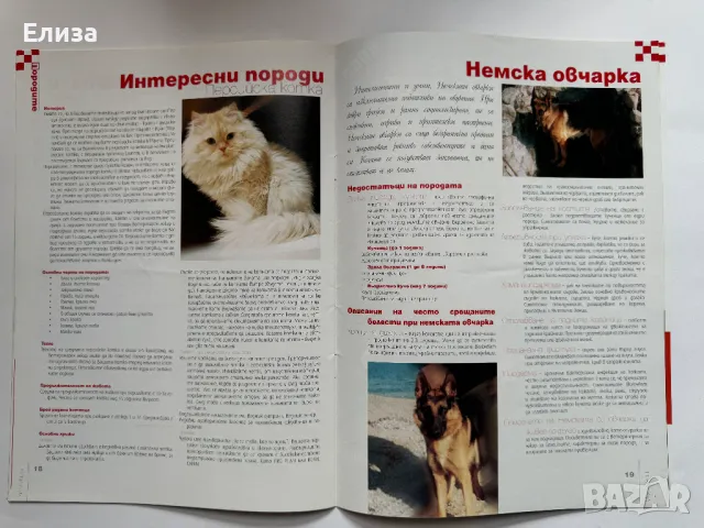 Purina Клуб брой 11, април 2007, снимка 11 - Списания и комикси - 47087367