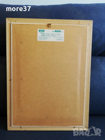 Картина-мома, снимка 9 - Картини - 53874663