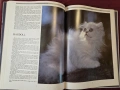 Енциклопедия на котките / The Encyclopedia of Cats, снимка 10
