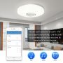 Плафон, Led, Вградена Bluetooth музикална колонка, Включено дистанционно управление, Управление от п, снимка 4