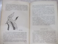 Книга "Подправките като храна и лекарство-А.Боева" - 152 стр, снимка 5