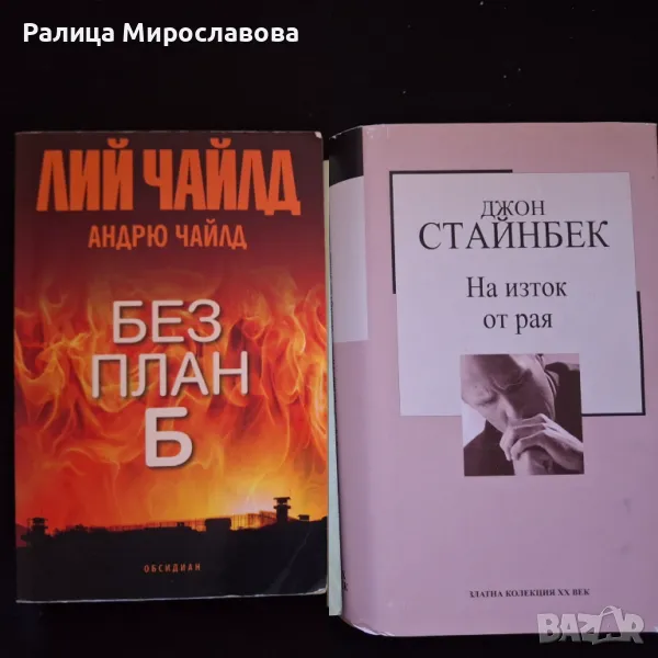 Две книги - 20лв., снимка 1