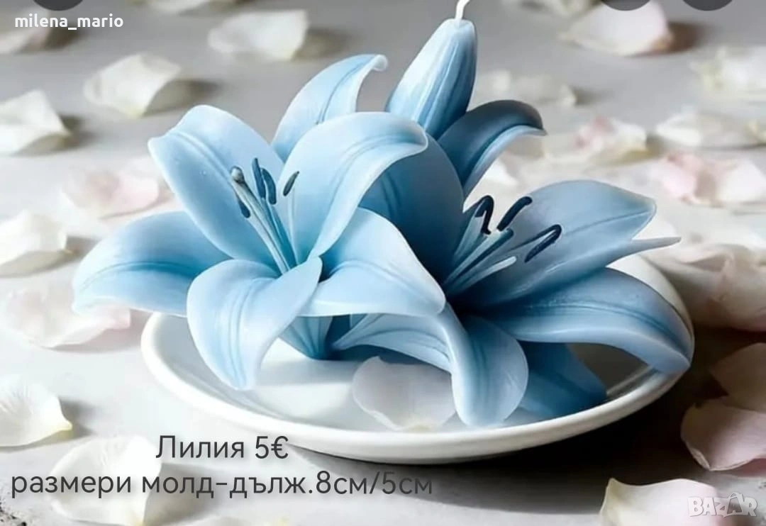 Нови молдове за свещи и сапуни , снимка 1