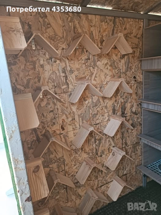 гълъбово място за кацане, снимка 1