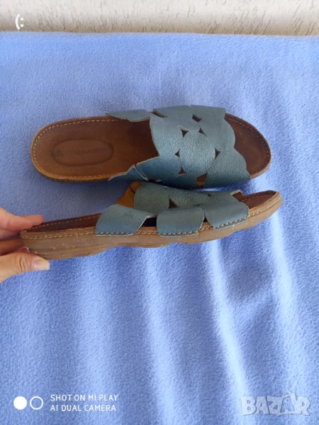 El naturalista номер 40., снимка 1