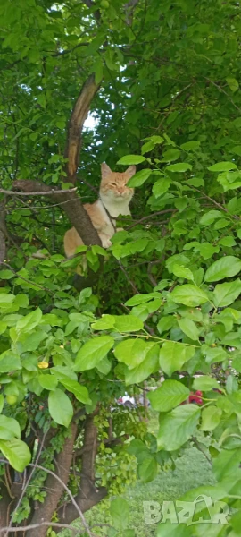 Студенти Търсят Хамалска Работа В София , снимка 1