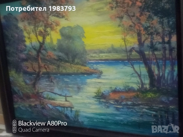 Голяма стара маслена картина., снимка 2 - Антикварни и старинни предмети - 54068183