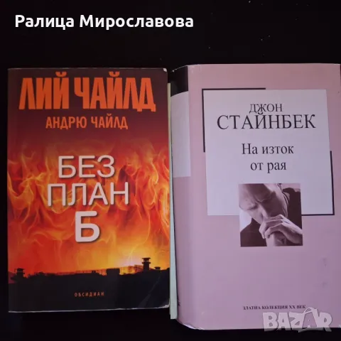 Две книги - 15лв., снимка 1 - Художествена литература - 47671750