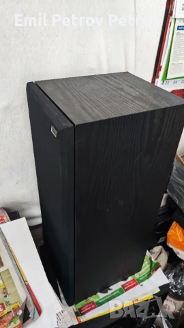 Промо ⭐ ⭐ ⭐ Dynaudio Recital висок клас Датски тонколони , снимка 3 - Тонколони - 51007596