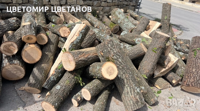 ДЪРВА ЗА ОГРЕВ НА АДРЕС! ДЪБ И БУК!  РЕАЛНА КУБАТУРА! обл. ПЛЕВЕН, ЛОВЕЧ и селата 0878 110 111