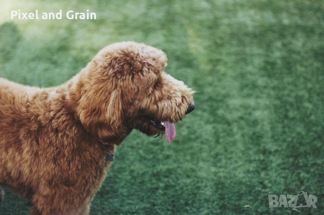 Canon 60D фотоапарат + два обектива и аксесоари Kanon , снимка 16 - Фотоапарати - 53671132