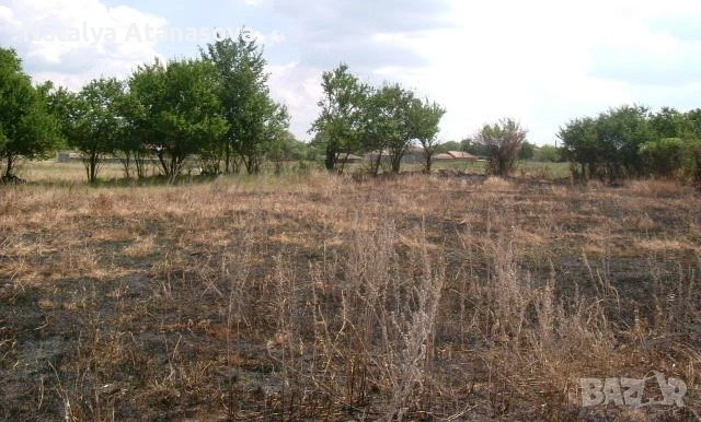 Парцел за продажба в Бдинци, Добрич, снимка 7 - Парцели - 53635006