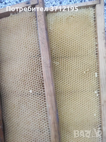 Изградени магазинни рамки, снимка 2 - За пчели - 50707644