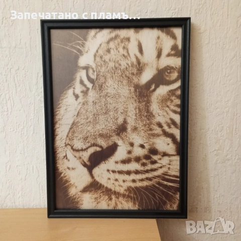 Портрети по снимка, снимка 2 - Картини - 53077240