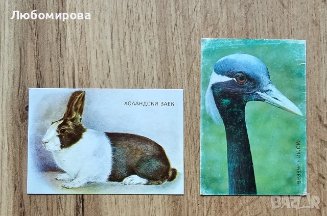 Ретро календарчета със животни/ За колекционери, снимка 6 - Колекции - 51417690