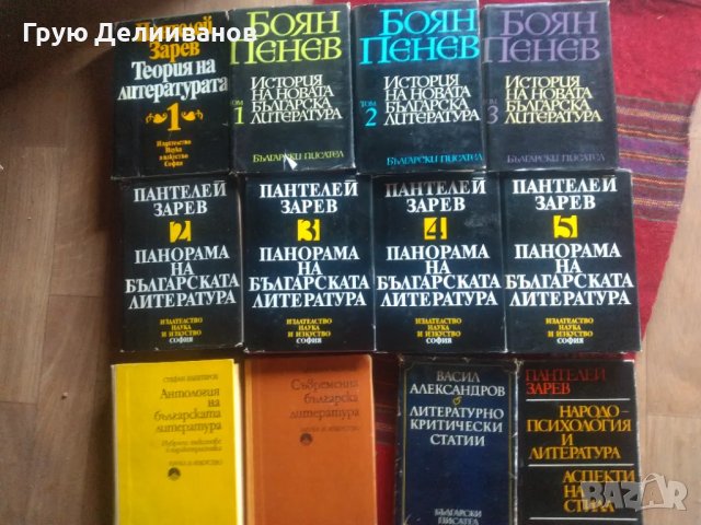 Литературознание, Анализи, Граматика, снимка 1 - Специализирана литература - 46837230