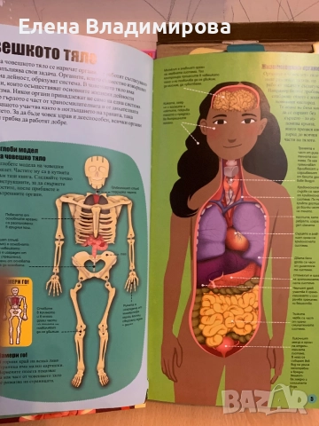 Детски игри и модел на човешкото тяло, снимка 2 - Образователни игри - 52663534