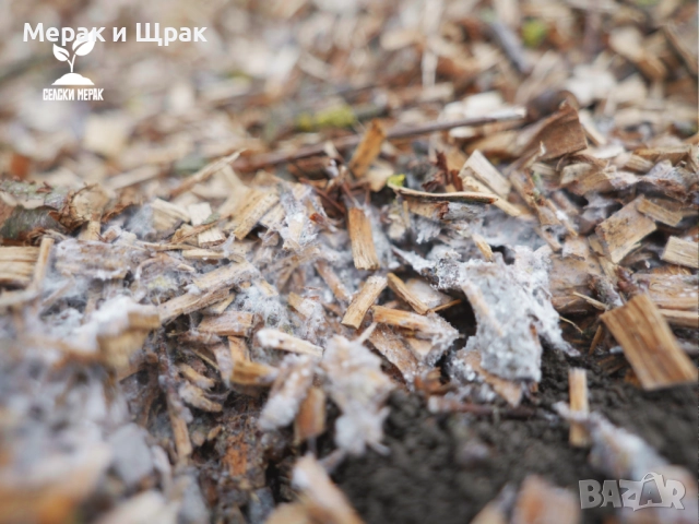 Дървесен чипс на едро (компостиращ), снимка 6 - Тор и почвени смеси - 52135429