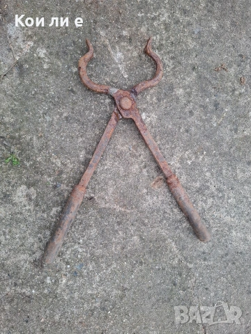 ковашки клещи 