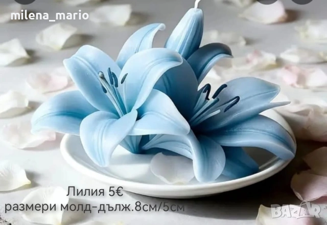 Нови молдове за свещи и сапуни 