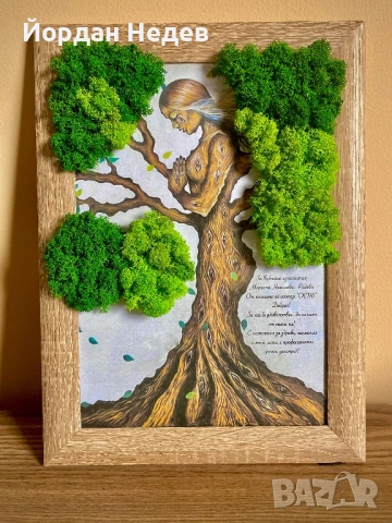 Картини от скандинавски мъх, снимка 3 - Картини - 53664431