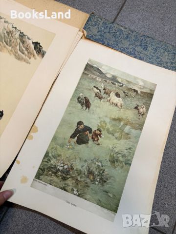 Китайская современная живопись. Рядко издание., снимка 13 - Други - 45283611
