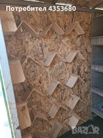 гълъбово място за кацане