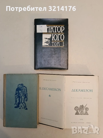 Парижката Света Богородица - Виктор Юго, снимка 2 - Художествена литература - 53153156