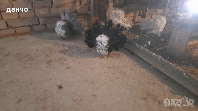 Продавам фенерлии 