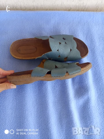 El naturalista номер 40., снимка 1