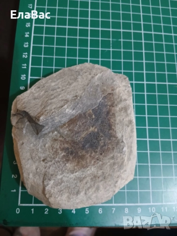 Подаръчна кутия книга от картон, снимка 6 - Ръчно изработени сувенири - 52093183