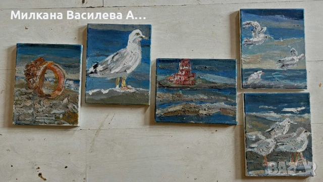 НАЛИЧНА – „Нос Шабла“ (комплект 5 маслени платна)