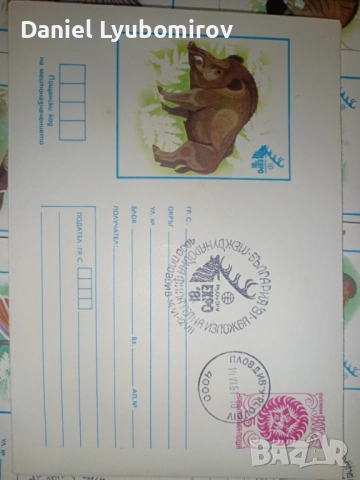 Пълен лот 27 бр. Илюстровани пощенски пликове "Експо '81" - Световно ловно изложение, снимка 4 - Филателия - 53743042