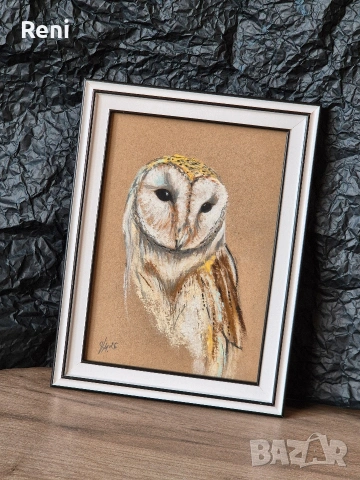 Сова, картина пастел, оригинал, снимка 3 - Картини - 53061939