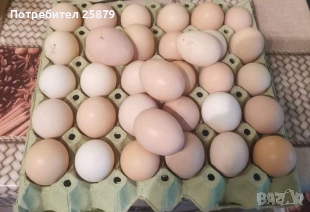 Домашни яйца , снимка 3 - Кокошки и пуйки - 45696104