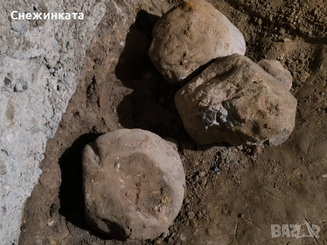 Подарявам големи и средни камъни за декорация/алпинеуми, снимка 5 - Декорация за дома - 51518178