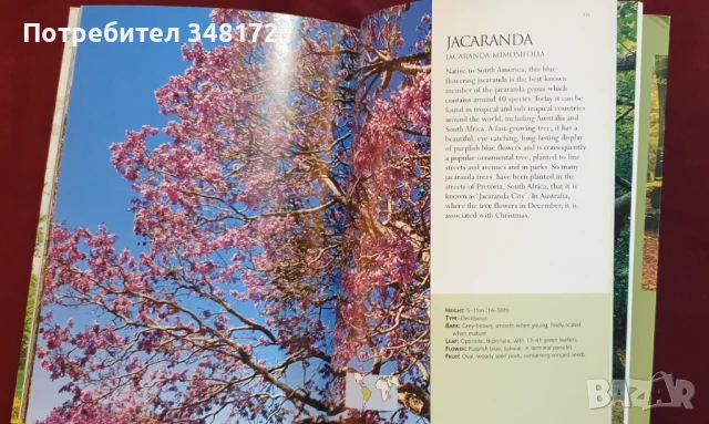 Справочник на дърветата по света / A Concise Guide to Trees, снимка 9 - Енциклопедии, справочници - 50869544