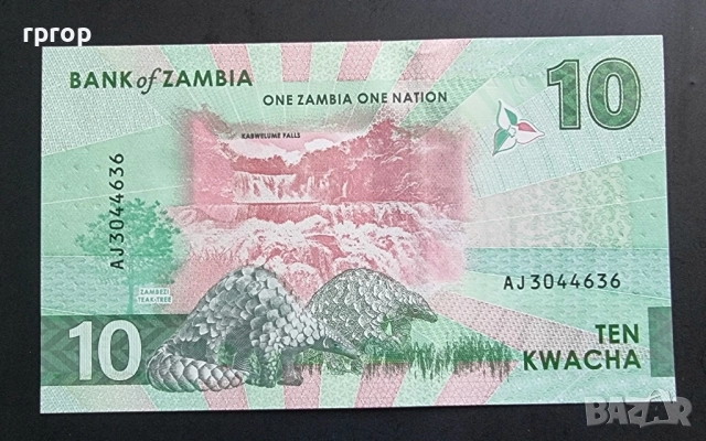 Замбия .10 , 20, 50 и 100 квача. 2024 год. Най новата серия. UNC., снимка 3 - Нумизматика и бонистика - 50056376