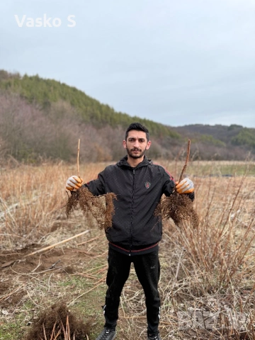 Тук сте на правилното място