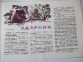 Списание "Славейче - книжка 4 - 1968 г." - 16 стр., снимка 3