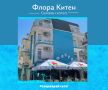 Хотел Флора в Китен / 250 метра от Плажа | Закуска + вечеря+нощувка ! Семеен Хотел Флора, снимка 2