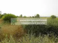 №3257 Парцел в регулация-5000м2 | Северна индустриална зона, Хасково -> Димитровград, снимка 4